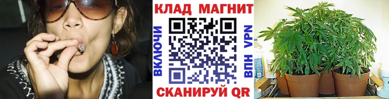 Где можно купить наркотики Циолковский АМФ КОКАИН Меф Бошки Шишки