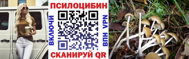 закладки  omg зеркало  Галлюциногенные грибы Cubensis  Циолковский 
