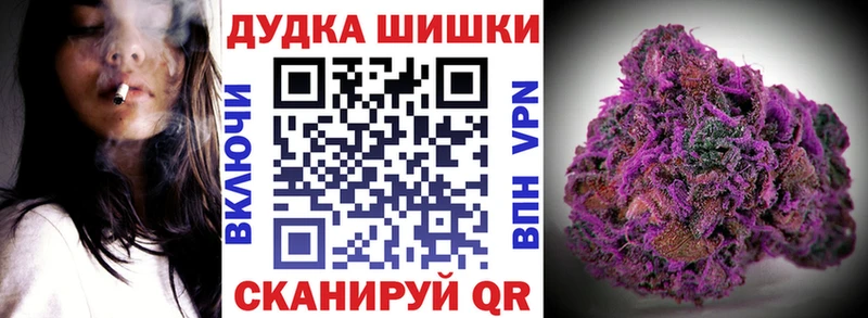 Шишки марихуана план  купить наркотики сайты  Циолковский 